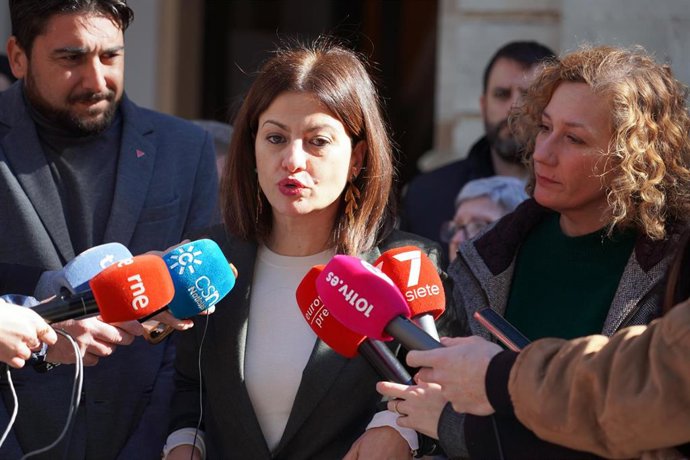 La euro diputada de Izquierda Unida, Sira Riego, atiende a los medios a 31 de enero de 2023 en Sevilla, (Andalucía, España).