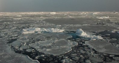 Cambio Climático