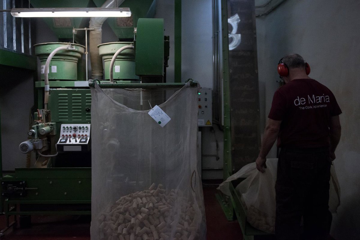 La producción industrial aumentó un 2,4 por ciento en La Rioja durante 2022, según el INE