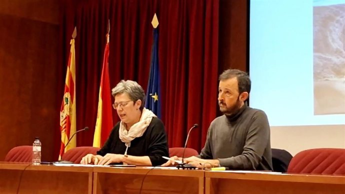 Un estudio demuestra la existencia de chopos cabeceros bicentenarios en la cordillera Ibérica