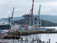 Las acciones de Ence rebotan un 26% después de que el Supremo avale su continuidad en la ría de Pontevedra