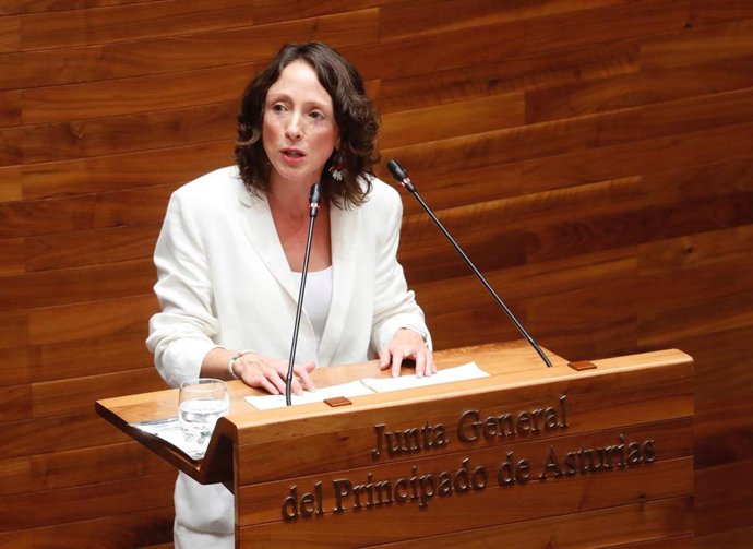 Archivo - La consejera de Derechos sociales y Bienestar, Melania Álvarez.