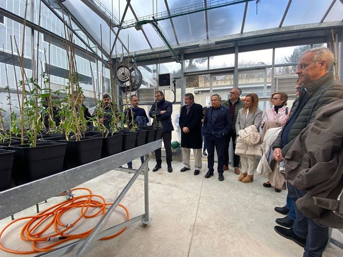 Visita al invernadero experimental de la UJA