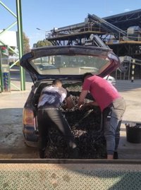Intervenidos en dos coches más de 800 kilos de aceituna robados en Puente Genil (Córdoba)