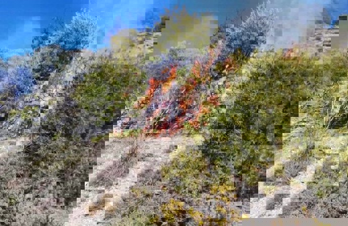 Incendio en el cerro de San Miguel de Granada