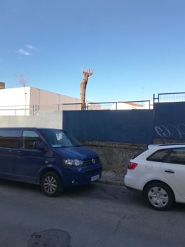 Poda en la calle Profesor Emilio Menacho