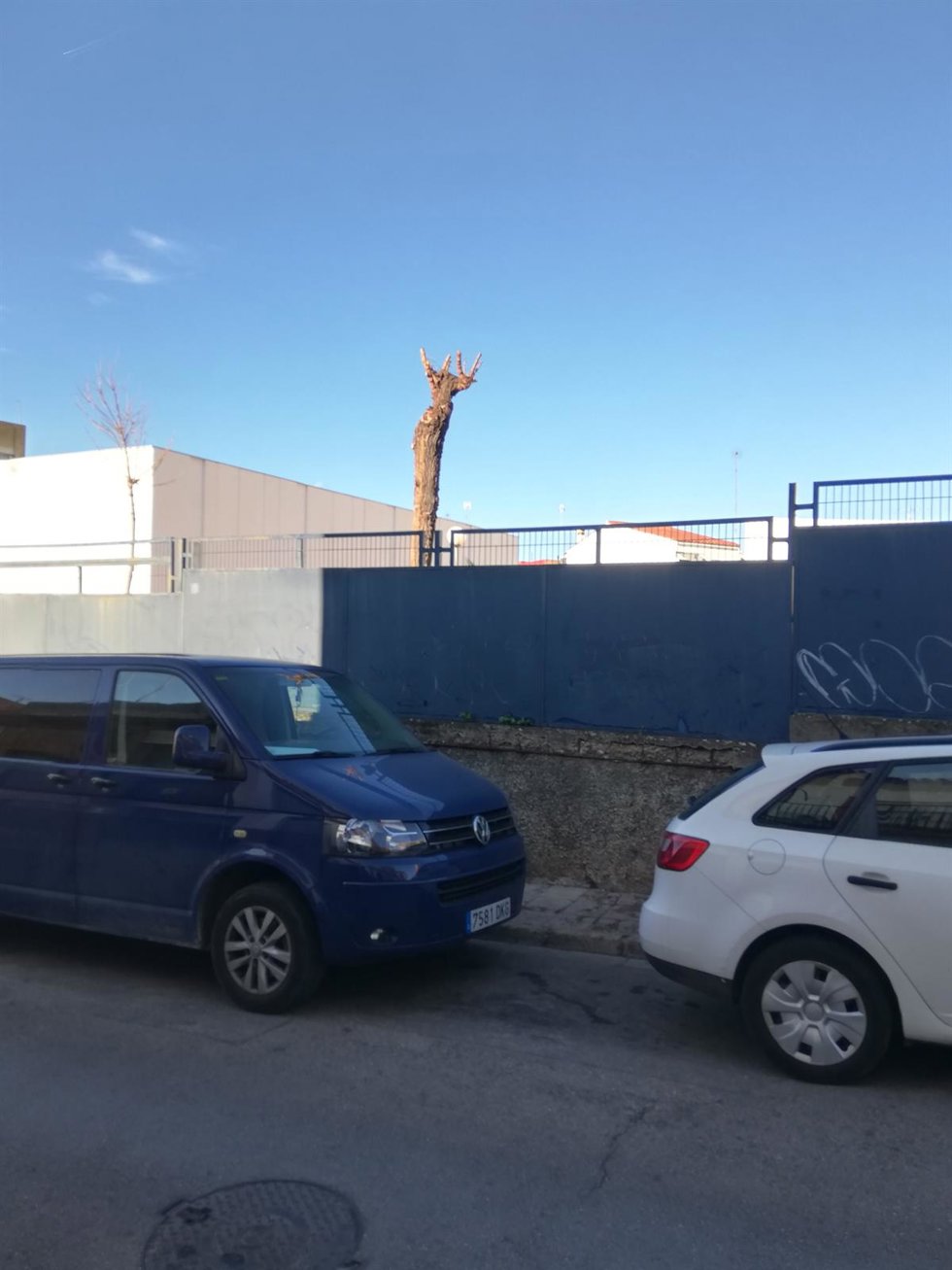 Poda en la calle Profesor Emilio Menacho