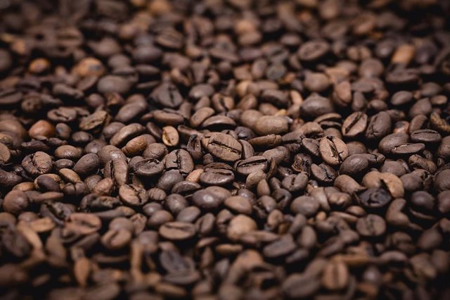 Archivo - Granos de café