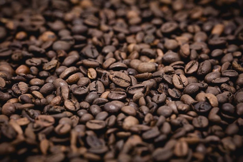 Archivo - Granos de café