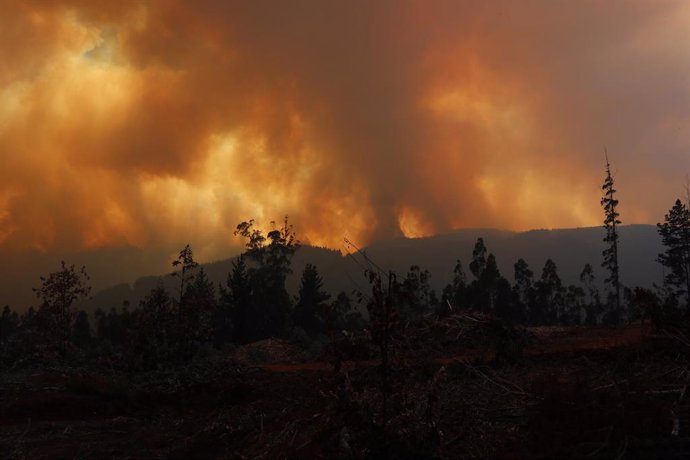 Ola de incendios que afecta a zonas del centro y sur de Chile