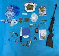 Cuatro detenidos en Almería con un cultivo de 329 plantas de marihuana en viviendas del barrio de Piedras Redondas