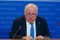 Aguirre defiende que no se deben "cercenar debates de ámbito nacional" en el Parlamento que "afectan a los andaluces"