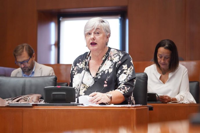 Archivo - La diputada del PP, Pilar Gayán