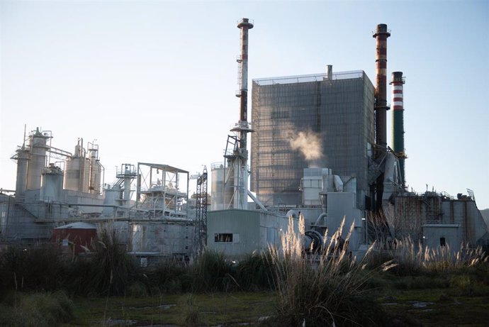 El complejo industrial de Ence en la Ría de Pontevedra.