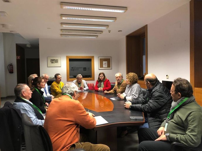Adela Castaño y Juan Manuel Flores se reúnen en la Cámara andaluza con asociaciones de vecinos y entidades de Palmete, Su Eminencia y Tres Barrios para abordar el tema de los continuos cortes de luz en esos barrios.