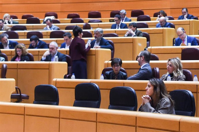 La ministra de Igualdad, Irene Montero, en el Senado.