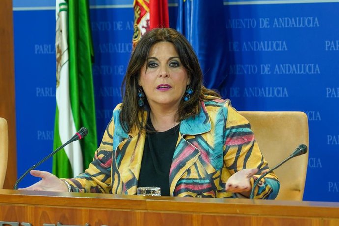 Ángeles Férriz , del grupo parlamentario de PSOE_A , en la rueda de prensa de representantes de los grupos parlamentarios previas al Pleno de la Cámara a 08 de febrero del 2023 en Sevilla (Andalucía, España)