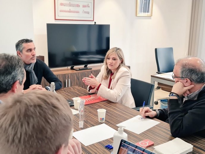 Archivo - La presidenta de Ciudadanos (CS) de Baleares, Patricia Guasp, reunida con el Colegio de Médicos de Baleares