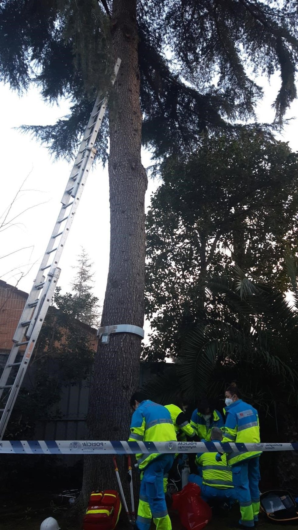 Imagen del accidente laboral que ha costado la vida a un hombre de 55 años.