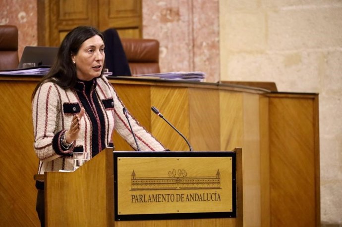 La consejera de Inclusión Social, Loles López, este miércoles en su comparecencia en el Pleno del Parlamento.