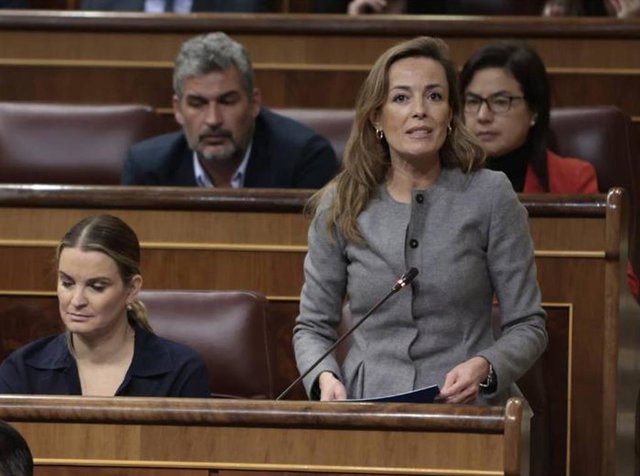 Carmen Navarro, diputada del PP, en una sesión de control