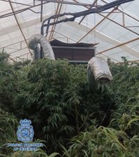 Cae una red de narcotráfico y blanqueo de capitales liderada por tres empresarios de la Axarquía