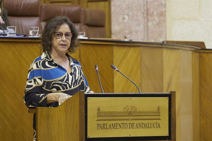 La consejera de Salud, Catalina García, este jueves durante su comparecencia en el Pleno del Parlamento a petición del PSOE. 