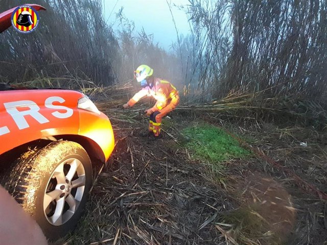 Bomberos trabajando en el lugar del accidente