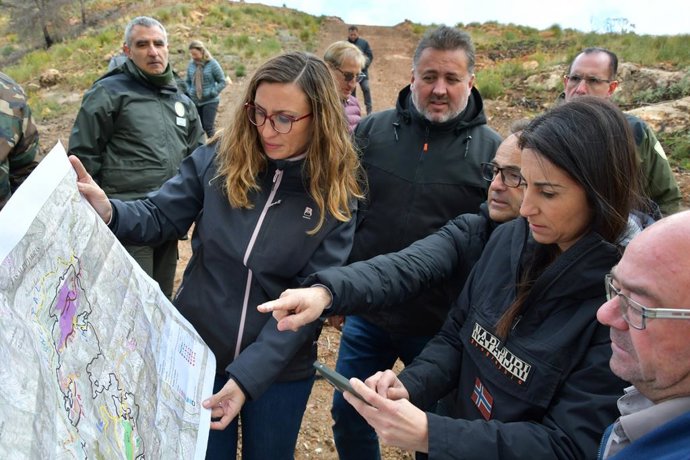 Obras de restauración hidrológico forestal en la zona afectada por el incendio de la sierra de Almegíjar y La Taha
