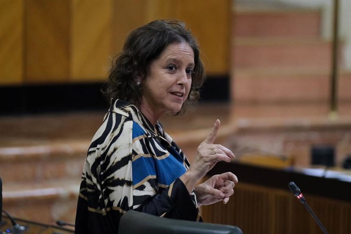 La consejera de Salud y Consumo, Catalina García, en el Pleno del Parlamento