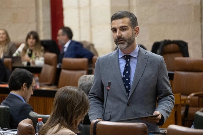 El consejero de Sostenibilidad durante su intervención en el Pleno del Parlamento de Andalucía.