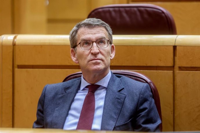 El líder del Partido Popular, Alberto Núñez Feijóo, durante una sesión plenaria de control en el Senado, a 7 de febrero de 2023, en Madrid (España). 