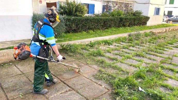 Un operario de Emaya desbrozando una calle en Palma.