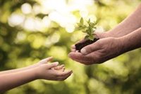 El cambio climático: un problema de educación