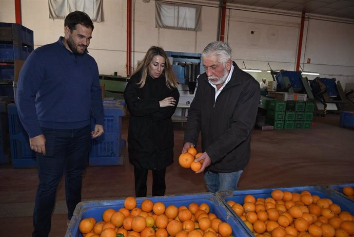 La presidenta del PP de Extremadura, María Guardiola, y el candidato a la Alcaldía de Montijo, Javier Cienfuegos, visitan una fábrica de naranjas