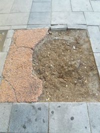 Más Madrid acusa a Almeida de "gastar el dinero de los madrileños a lo tonto" como en el "secarral" metropolitano