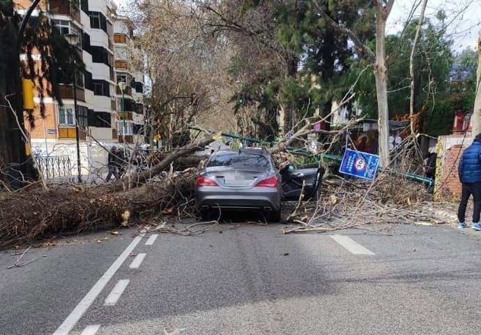 Un árbol cae sobre un coche en Málaga debido al fuerte viente