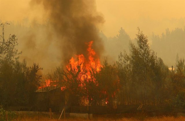 03 February 2023, Chile, Santa Juana: Houses burn on the side of a road during a forest fire. Photo: -/Agencia Uno/dpa