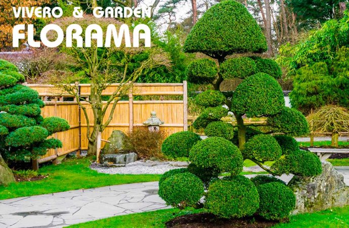 La poda de árboles por salud y seguridad.