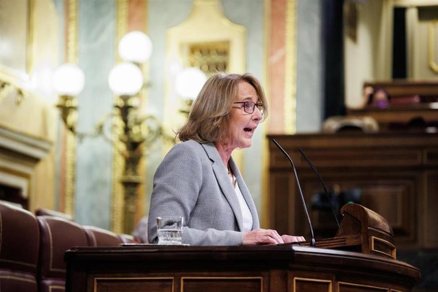 La diputada de Vox, Lourdes Méndez interviene durante una sesión plenaria en el Congreso de los Diputados, en Madrid (España), a 17 de diciembre de 2020.