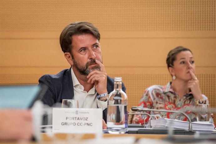 Archivo - Carlos Alonso, portavoz de CC-PNC en el Cabildo de Tenerife