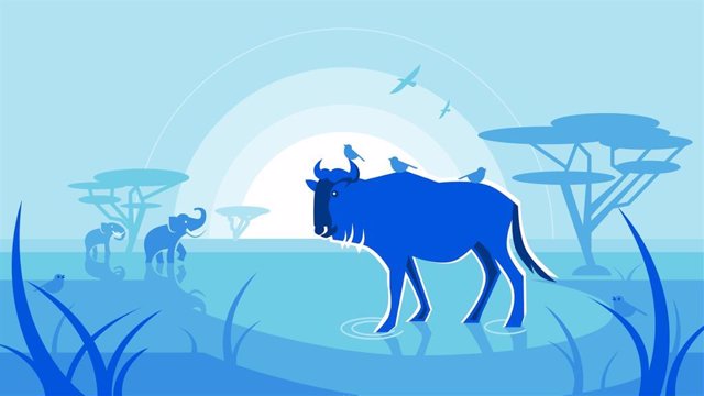 Cloudflare presenta su servidor de código abierto Wildebeest.
