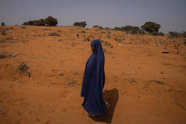 Una mujer con velo en la aldea de Ganguel, a 11 de enero de 2023, en Ganguel, Sokoto, Níger (África). 