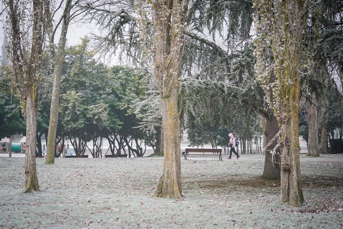 Árboles cubiertos de nieve en Vitoria-Gasteiz