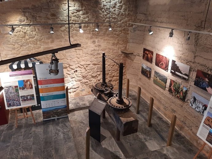 Programa 'Aprender' en San Asensio