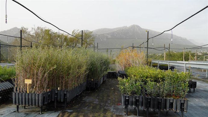 El Cefor celebra el 90 aniversario con un ciclo de actividades divulgativas