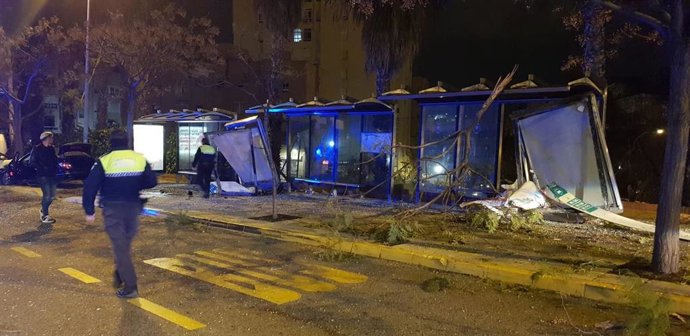 Un conductor ebrio colisiona contra una parada de autobús y varios árboles en Sindicalista Luis Cobos