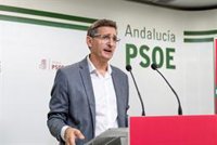 PSOE pide a Junta no "retrasar más" el soterramiento de Almería aceptado "pulpo como animal de compañía" con los Feder