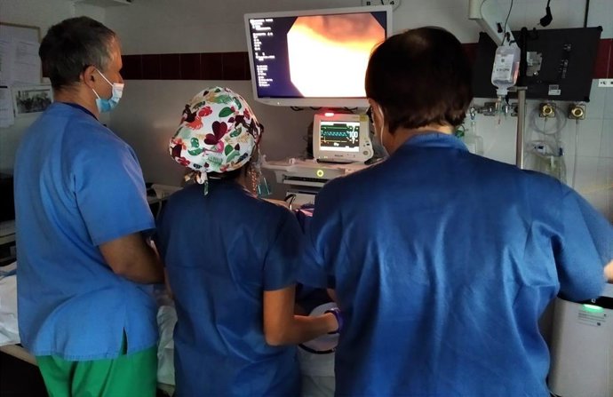 Profesionales Sanitarios. Servicio de Salud. Baleares. Recurso.