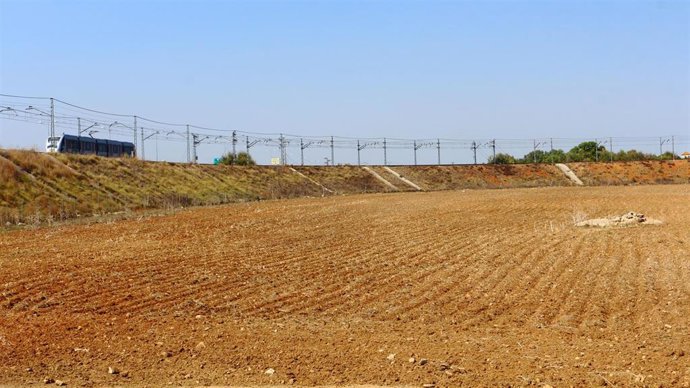 Terrenos de la UPO en los que Endesa X construirá una planta solar fotovoltaica para el autoconsumo del campus universitario.